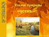 Уголок природы «осень»