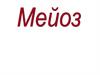 Мейоз