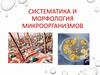 Систематика и морфология микроорганизмов