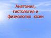 Анатомия, гистология и физиология кожи