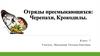 Класс Рептилии. Отряды Крокодилы, Черепахи