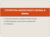 Структура молочного жира и белка
