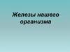 Железы нашего организма
