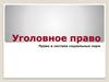 Уголовное право.  Право в системе социальных норм