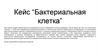 “Бактериальная клетка”