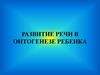 Развитие речи в онтогенезе ребенка
