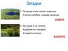 Озера и болота. Загадки