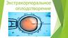 Экстракорпоральное оплодотворение
