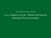 Нарын сөстер. Нарын сөстерниӊ бижиири болгаш адаары