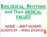 Biological rhythms and their medical values