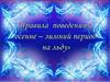 Правила поведения на льду в осенне-зимний период