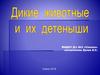 Дикие животные и их детеныши