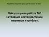 Строение клеток растений, животных и грибов. Лабораторная работа №1. 5 класс