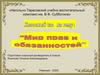 В мире прав и обязанностей