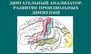 Двигательный анализатор человека. Развитие произвольных движений