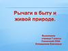 Рычаги в быту и живой природе
