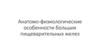 Анатомо-физиологические особенности больших пищеварительных желез