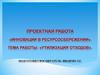 Проектная работа "Улилизация отходов"