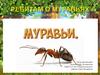 Ребятам о муравьях (средняя группа)