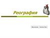 Реография. Реограмма. Реоэнцефалография (РЭГ)