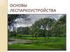 Основы леспаркоустройства