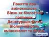 Амінокислоти. Білки як біологічні полімери. Денатурація білка. Біологічна роль амінокислот та білків. 9 клас