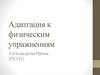 Адаптация к физическим упражнениям