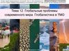 Глобальные проблемы современного мира. Глобалистика в ТМО. Тема 12
