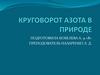Круговорот азота в природе