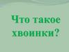 Что такое хвоинки?