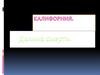 Калифорния