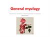 General myology