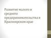 Развитие малого и среднего предпринимательства в Красноярском крае