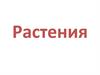 Растения. Систематика растений
