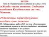Механические колебания и волны. Колебательное движение. Свободные колебания