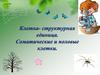 Клетка - структурная единица. Соматические и половые клетки