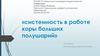 Системность в работе коры больших полушарий