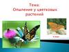 Опыление у цветковых растений. 6 класс