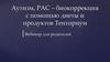 Аутизм, РАС – биокоррекция с помощью диеты и продуктов Тенториум