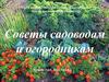 Советы садоводам и огородникам