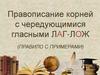 Правописание корней с чередующимися гласными ЛАГ-ЛОЖ