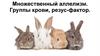 Множественный аллелизм. Группы крови, резус-фактор