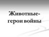 Животные-герои войны