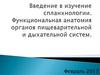 Введение в изучение спланхнологии. Функциональная анатомия органов пищеварительной и дыхательной систем
