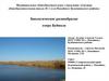 Биологическое разнообразие озера Буйвола, с. Покойного, Будённовского района, Ставропольский край