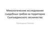 Микологические исследования съедобных грибов на территории Сыктывдинского лесничества