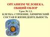 Организм человека. Общий обзор. Урок № 1.3. Клетка: строение, химический состав и жизнедеятельность