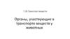 Транспорт веществ. Органы, участвующие в транспорте веществ у животных