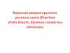 Вирусная диарея крупного рогатого скота (Diarrhea viralis bovum, болезнь слизистых оболочек)