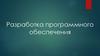 Разработка программного обеспечения